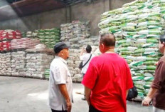 Babel Perkuat Stok Beras Jaga Stabilitas Harga