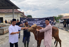 Semangat Berbagi di Idul Adha 1447 H, Polres Bangka Sembelih Delapan Hewan Kurban