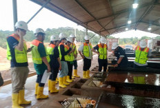 PT Timah Undang Investor untuk Jelajahi Proses Bisnisnya, Dari Lokasi Pertambangan hingga Pabrik Pengolahan