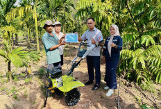 PT Timah Tbk Dukung Sektor Pertanian, Tingkatkan Produktivitas Kelompok Petani di Desa Kundur