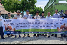 Warga Bangka Barat Sambut Antusias Bantuan Hewan Kurban dari PT Timah