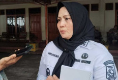 Wagub Babel Akui Merasa Terasing di Kantor Sendiri, Hellyana Siap Hadapi Kasus Hukum