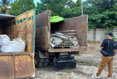 Balok Timah Milik PT Rajawali Rimba Perkasa Urung Kena Tipikor, Cuma Jadi Barang Temuan, Kini Disita Negara