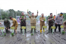 Gubernur Hidayat Arsani Pimpin Penanaman Padi Program Ketahanan Pangan Desa Adhyaksa 2026 di Namang 