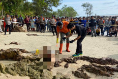 Ada Mayat Laki-Laki Tanpa Identitas Terdampar di Pantai Tanjung Udang 