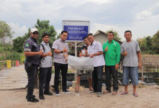 Menumbuhkan Harapan dari Desa, PT Timah Dukung Warga Sawang Laut Kabupaten Karimun Kembangkan Potensi Lokal 