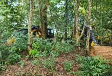 Tim Satgas PKH Sita Lagi 7 Excavator, Total Sitaan Jadi 39 Unit