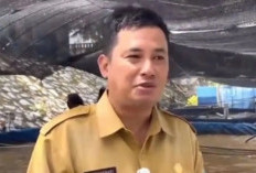 Bangka Tengah Kembangkan Udang Vaname Ramah Lingkungan