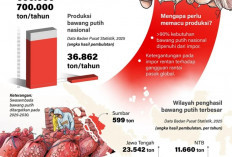 Ikhtiar Lepas dari Impor Bawang Putih