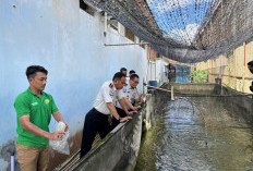 Lapas Narkotika Pangkalpinang Tebar Ribuan Bibit Ikan di Kolam SAE