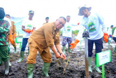 Dukung Energi Bersih, PLN UIW Babel Tanam 10.000 Bibit Pohon Kaliandra melalui Program TJSL di Belitung Timur