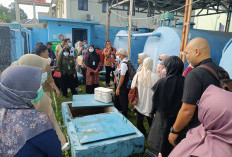 Cegah Insiden dan Pencemaran, Petugas Kesling Bangka Ikuti Pelatihan Pengelolaan Limbah B3 Medis