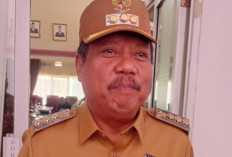 ​Tahun 2026, Pemkot Pangkalpinang Akan Angkat Tenaga PJLP Gantikan Honorer