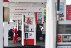 Dua Tahun Pemerintahan Prabowo dalam Mewujudkan Kemandirian Energi