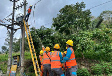 Pemulihan Listrik Sumatra Utara Dikebut, Menteri ESDM Tinjau Langsung Lokasi Terdampak Bencana