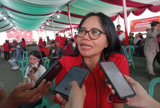 ​Anggota DPRD Babel Elvi Diana Minta BPS Libatkan Perangkat Desa dan Lurah dalam Pendataan