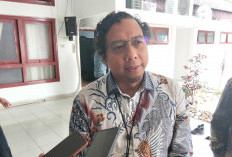 Perkuat Pasokan Listrik, PT PLN Rencana Bangun Gardu Induk di Belinyu