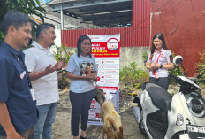 Honda Babel Rayakan Idul Adha 1447 H dengan Semangat Berbagi Bersama Konsumen Setia