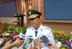 Fery Insani Prioritaskan APBD dan Ekonomi Lokal untuk Bangka Bangkit