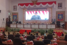 DPRD Babel Dukung Pemberantasan Tambang Timah Ilegal, tapi Tagih Kejelasan DBH ke Pusat