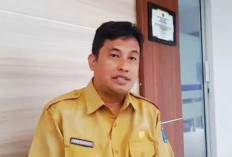 Pemkab Bangka Tengah Kembangkan Ikan Air Payau Atasi Paceklik Nelayan