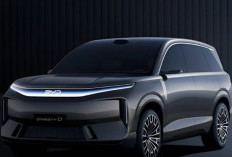 BYD Siapkan SUV Tiga Baris, Dynasty-D 