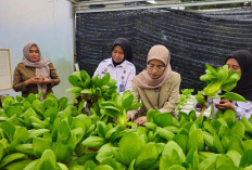 Ketahanan Pangan Lapas Pangkalpinang Tuai Apresiasi Direktur RSUD Depati Hamzah Pangkalpinang