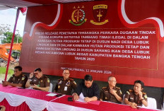 Kasus Tipikor Hutan Lubuk Besar dan Nadi, Sore Ini Kejati Umumkan Tersangka?