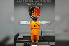 Polda Babel Bongkar Praktik Prostitusi Online di Pangkalpinang, Tarif Rp3 Juta, 1 Mucikari Ditangkap