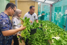 Kalapas Narkotika Pangkalpinang Bekali 121 Warga Binaan Keahlian, Siap Kembali Mandiri di Tengah Masyarakat