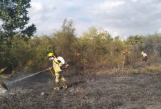 Karhutla Januari 2026 di Beltim Meluas, 23 Hektare Lahan Terbakar di Sejumlah Desa