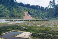 Konflik Agraria di Pergam Sarat Kepentingan, Pembeli Lahan Diduga Ada 10 Pengusaha