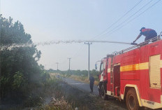 Antisipasi Kebakaran Hutan, Damkar Bangka Siagakan Personel dan Perkuat Peran Redkar hingga Srikandi Damkar