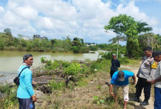 Buaya Ke Darat Gigit Warga Sekar Biru