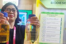 Biofuel: Jawaban Bagi Rapuhnya Energi Fosil Nasional