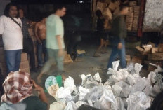 Modus Baru Penyelundupan Timah dari Belitung Terungkap, Disamarkan dalam Kardus Minyakita