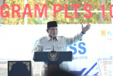 Bahlil: PLTS 100 GWp Jadi Mesin Pertumbuhan dengan Investasi Rp1.140 T 