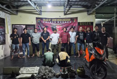 Tim Kelambit Terkam Dua Maling Pondok Kebun di Balun Ijuk, Satu Pelaku Residivis Narkoba