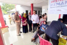 Hari Donor Darah Sedunia, PMI Bangka Kumpulkan 100 Kantong Darah