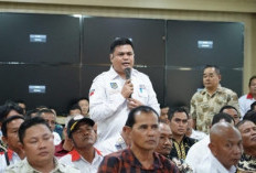 DPRD Babel dan Apdesi Desak Pabrik Kelapa Sawit Patuhi HET TBS