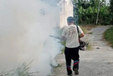 Pemerintah Bangka Gencar Tekan Penyebaran Kasus DBD