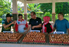 2026, Pasar Inpres akan Jadi Sentral Telur Sungailiat