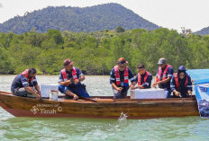Dukung Keberlanjutan Sumber Daya Laut, PT Timah Kembali Tebar Ribuan Kepiting Bakau di Karimun