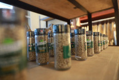 Harga Lada Putih Babel Januari 2026 di Tingkat Petani dan Pasar Daring